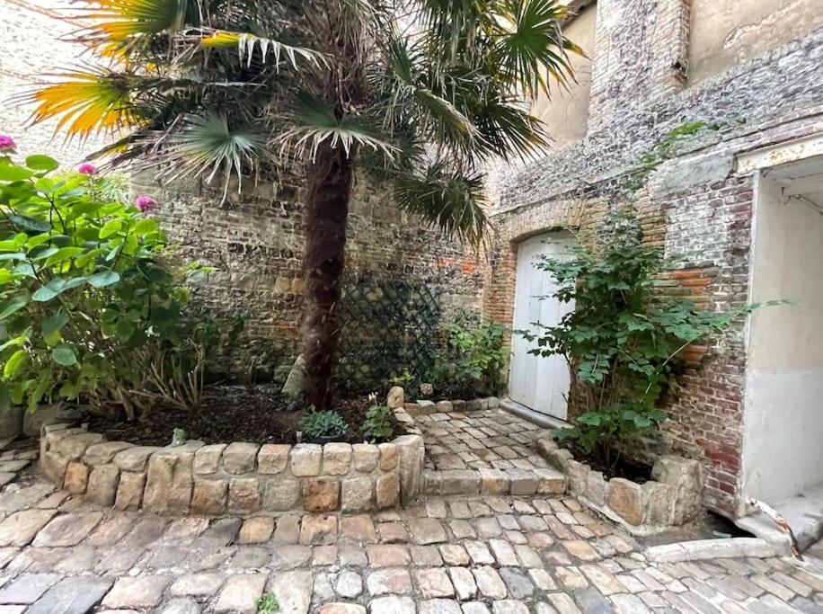 Quartier Historique Duplex 6Pers Lejlighed Saint-Valery-en-Caux Eksteriør billede